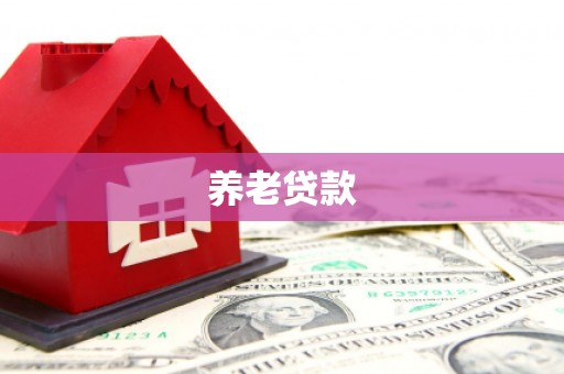 礼县养老贷款