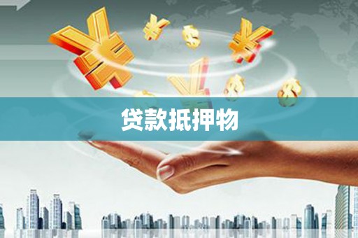 郸城贷款抵押物