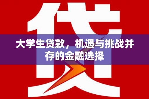 杂多大学生贷款，机遇与挑战并存的金融选择