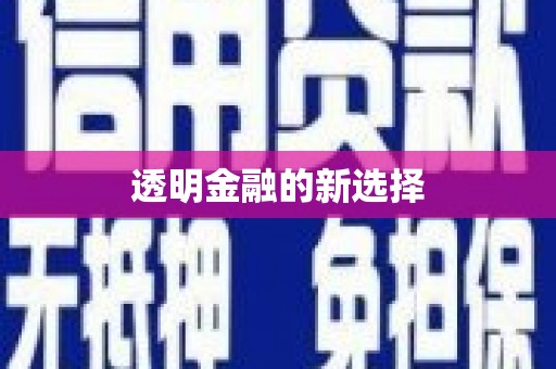 吴忠透明金融的新选择