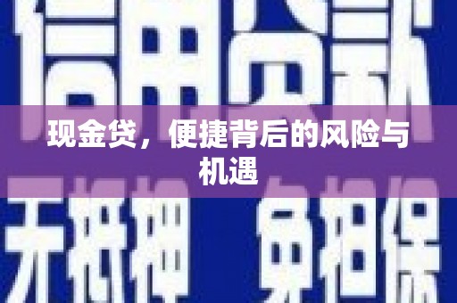 南皮现金贷，便捷背后的风险与机遇