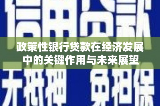 金湾政策性银行贷款在经济发展中的关键作用与未来展望
