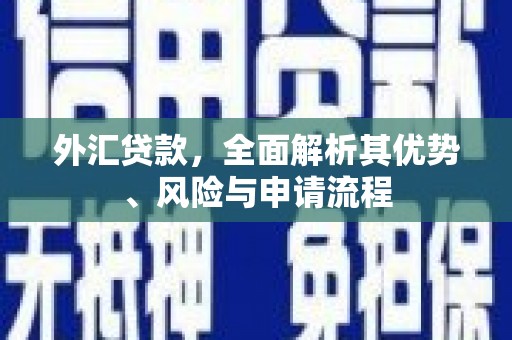 山上外汇贷款，全面解析其优势、风险与申请流程