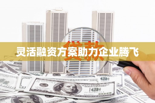 固阳灵活融资方案助力企业腾飞