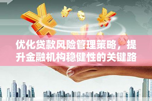 张家界优化贷款风险管理策略，提升金融机构稳健性的关键路径