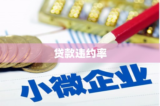 湘西贷款违约率