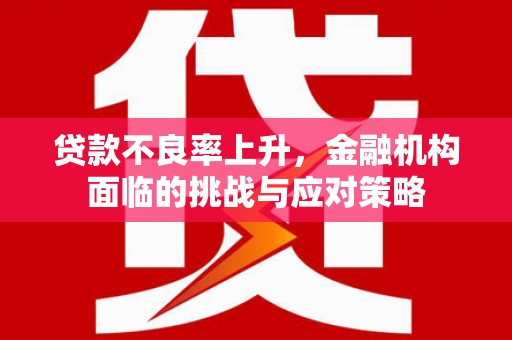 武侯贷款不良率上升，金融机构面临的挑战与应对策略