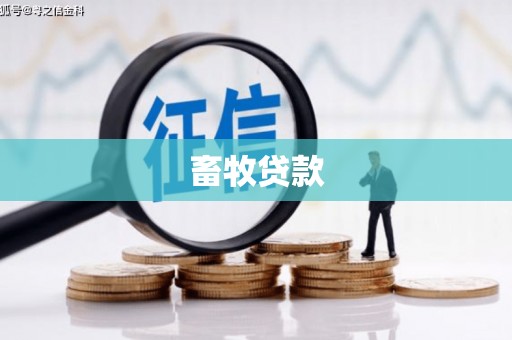 宁国畜牧贷款