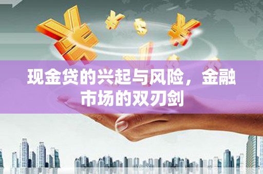 云浮现金贷的兴起与风险，金融市场的双刃剑