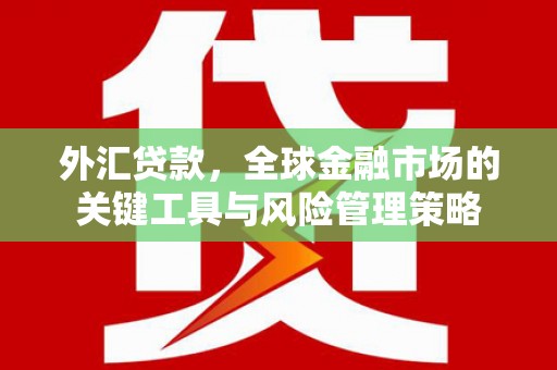 定陶外汇贷款，全球金融市场的关键工具与风险管理策略