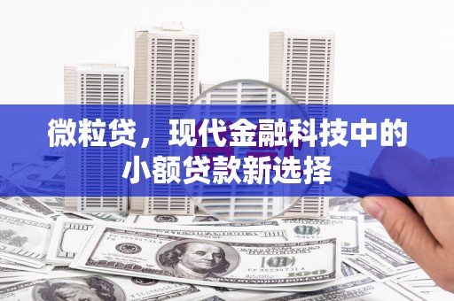上甘岭微粒贷，现代金融科技中的小额贷款新选择