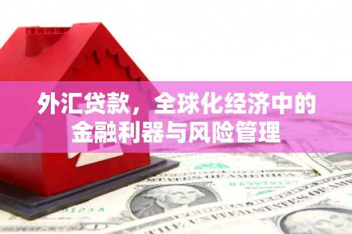暖暖外汇贷款，全球化经济中的金融利器与风险管理