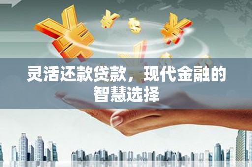 永清灵活还款贷款，现代金融的智慧选择