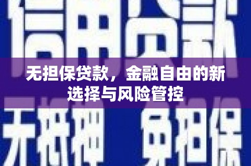 商南无担保贷款，金融自由的新选择与风险管控