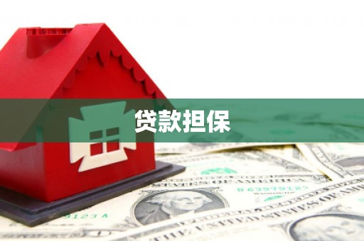 三角贷款担保