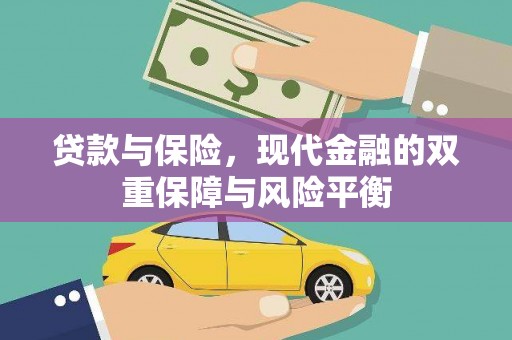 阳春贷款与保险，现代金融的双重保障与风险平衡