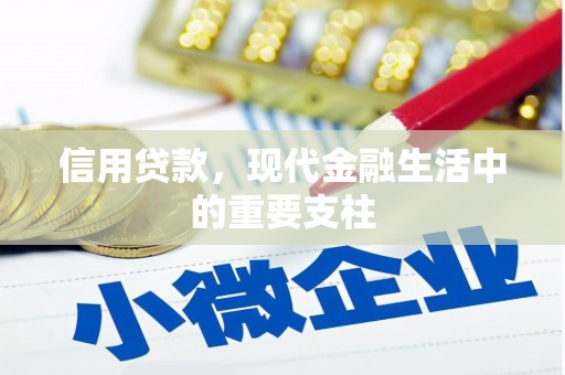 芦洲信用贷款，现代金融生活中的重要支柱
