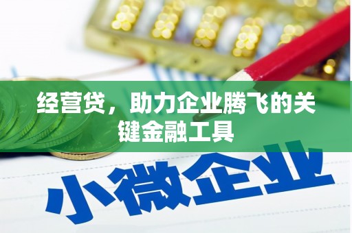 石嘴山经营贷，助力企业腾飞的关键金融工具