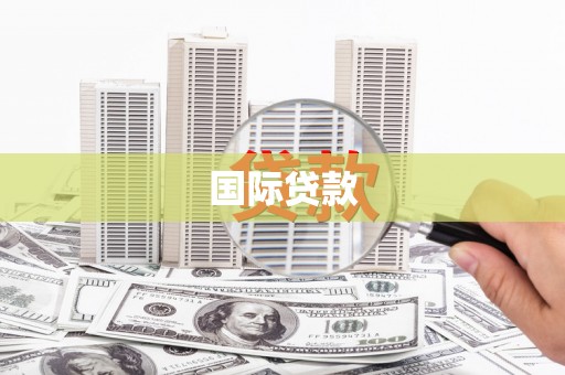 进贤国际贷款