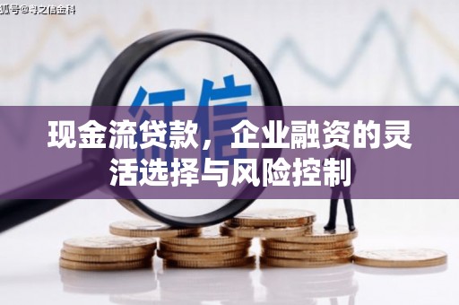 师宗现金流贷款，企业融资的灵活选择与风险控制
