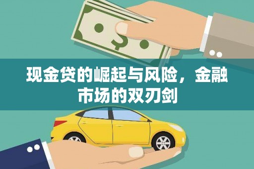 田尾现金贷的崛起与风险，金融市场的双刃剑