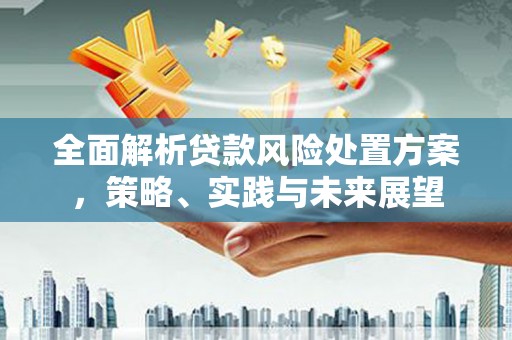 四湖全面解析贷款风险处置方案，策略、实践与未来展望