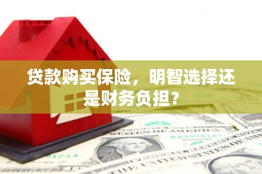 镇远贷款购买保险，明智选择还是财务负担？