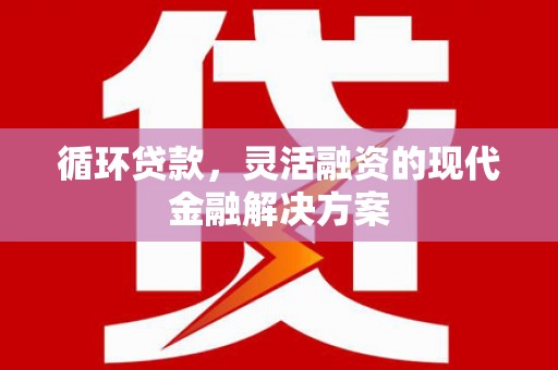 阜宁循环贷款，灵活融资的现代金融解决方案