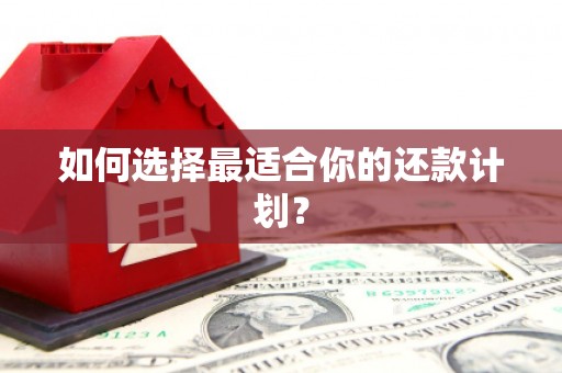 炉霍如何选择最适合你的还款计划？