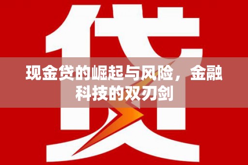 西峰现金贷的崛起与风险，金融科技的双刃剑