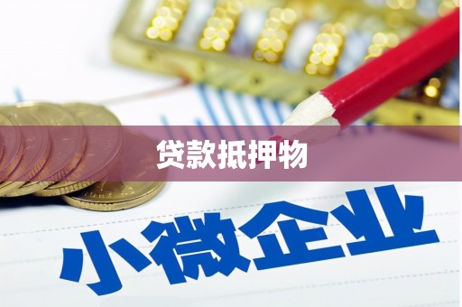 沛县贷款抵押物