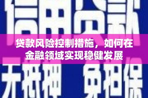 宁夏贷款风险控制措施，如何在金融领域实现稳健发展