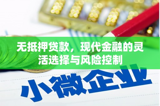 海原无抵押贷款，现代金融的灵活选择与风险控制