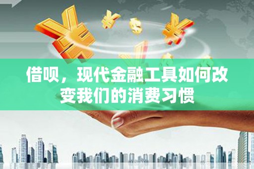 五河借呗，现代金融工具如何改变我们的消费习惯