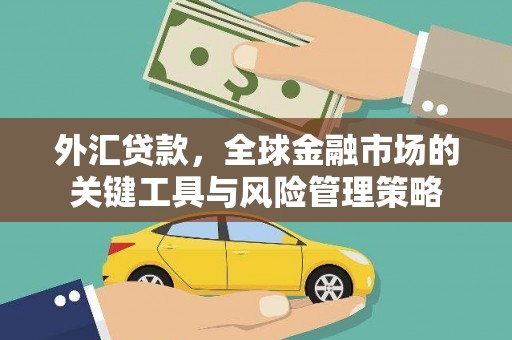 石家庄外汇贷款，全球金融市场的关键工具与风险管理策略