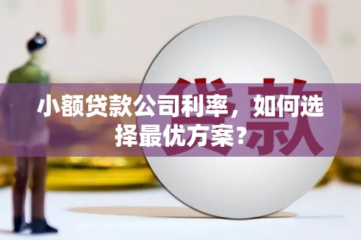 天元小额贷款公司利率，如何选择最优方案？