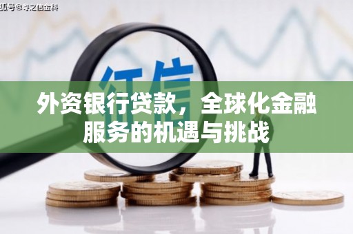 隆昌外资银行贷款，全球化金融服务的机遇与挑战