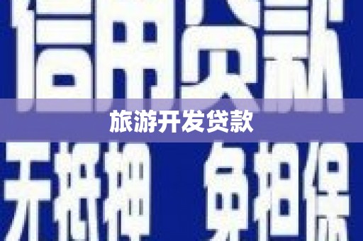 定安旅游开发贷款