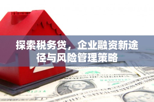 保亭探索税务贷，企业融资新途径与风险管理策略