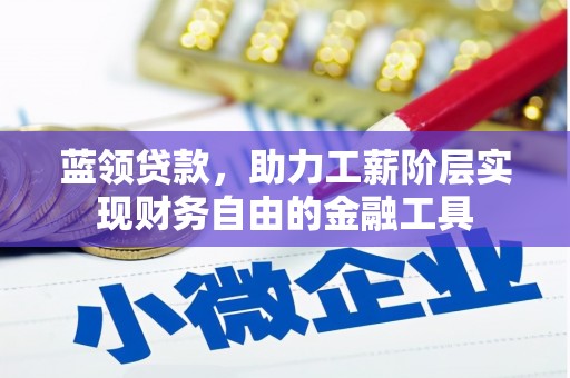郴州蓝领贷款，助力工薪阶层实现财务自由的金融工具