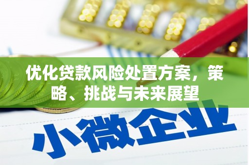 鼓楼优化贷款风险处置方案，策略、挑战与未来展望