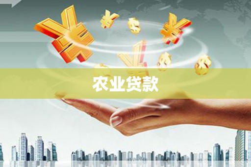 于洪农业贷款