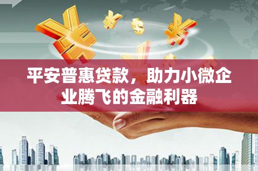 嵊州平安普惠贷款，助力小微企业腾飞的金融利器