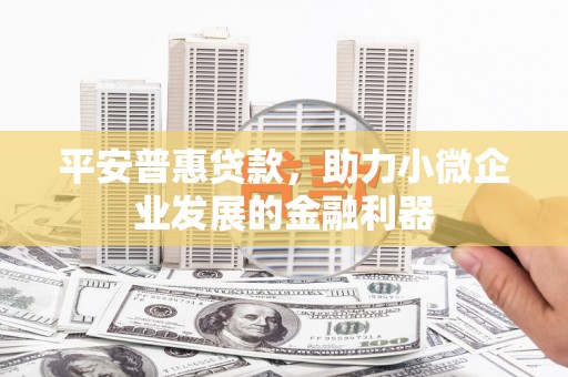 丽水平安普惠贷款，助力小微企业发展的金融利器