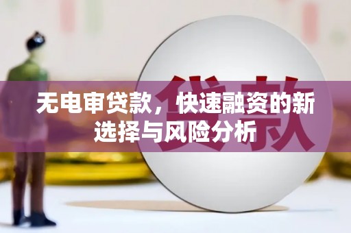 岳阳无电审贷款，快速融资的新选择与风险分析