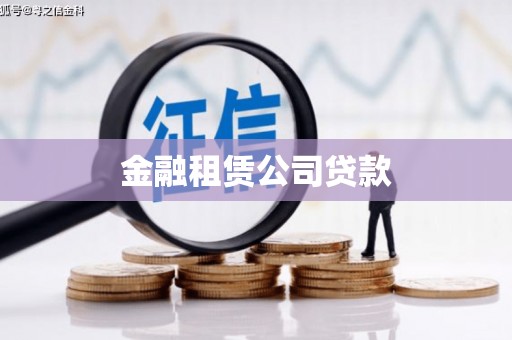南涧金融租赁公司贷款