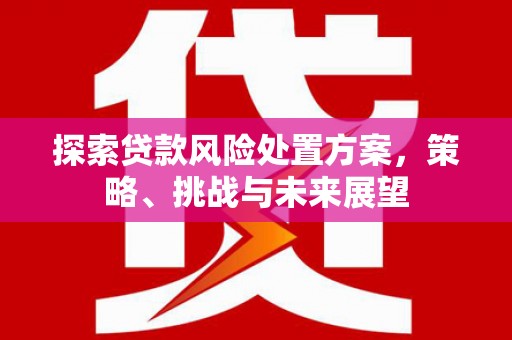 韶关探索贷款风险处置方案，策略、挑战与未来展望
