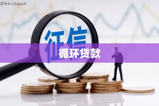 燕巢循环贷款