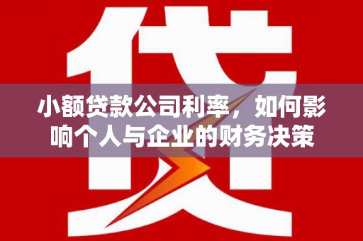 濮阳小额贷款公司利率，如何影响个人与企业的财务决策