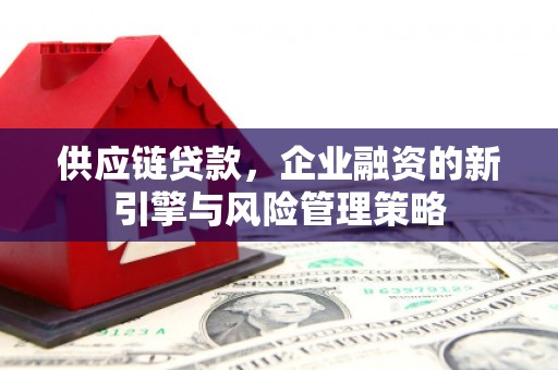 凤山供应链贷款，企业融资的新引擎与风险管理策略